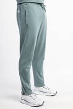 Spodnie The North Face M STANDARD PANT - EU GOBLIN BLUE NF0A4M7LA9L1REG