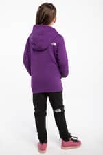 Bluza The North Face G DREW PEAK P/O HOODIE 2.0 NF0A558TJC01