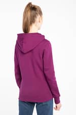 Bluza The North Face W DREW PEAK PULLOVER HOODIE NF0A55ECGP51