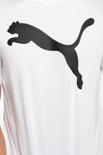 Koszulka Puma ACTIVE Big Logo Tee Puma White 58672402