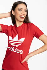 Koszulka adidas TREFOIL TEE GN2902