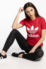 Koszulka adidas TREFOIL TEE GN2902