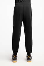 Spodnie Jack Wolfskin ESSENTIAL SWEAT PANTS M 1507182_6000