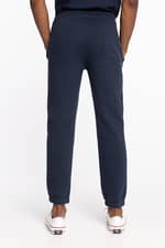 Spodnie Dickies BIENVILLE V01 NAVY BLUE