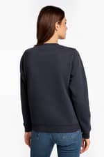Bluza Fjallraven Logo Sweater W F84143-555
