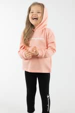Bluza Champion Hooded Sweatshirt 404295-PS012