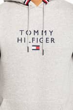 Bluza Tommy Hilfiger Z KAPTUREM STACKED TOMMY FLAG HOODY MW0MW17397P91