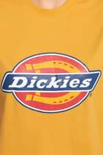 Koszulka Dickies HORSESHOE TEE W PR1 APRICOT