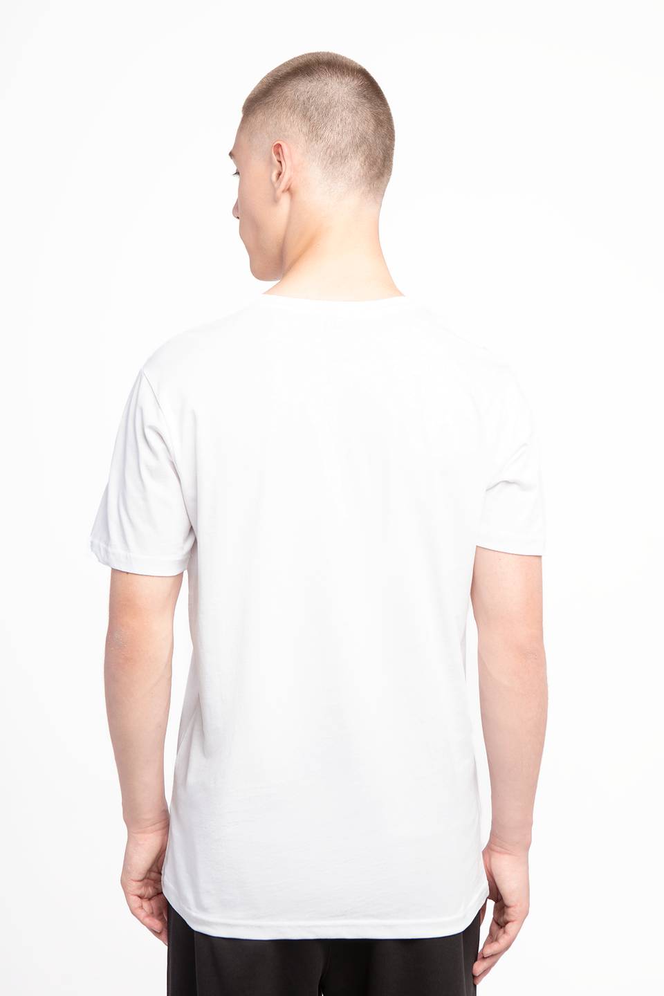 Koszulka Helly Hansen HH LOGO T-SHIRT 002 WHITE 33979_002